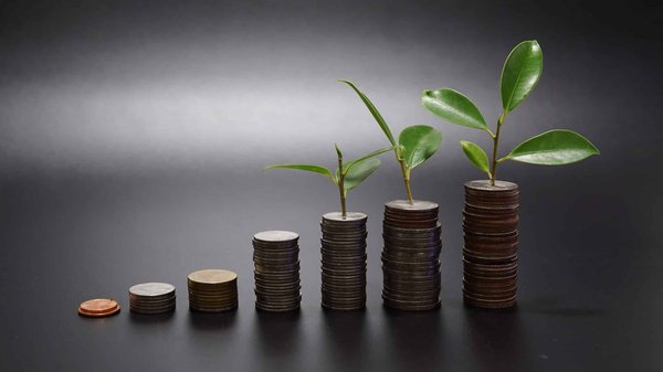 Quels sont les services proposés par une banque éthique ?
